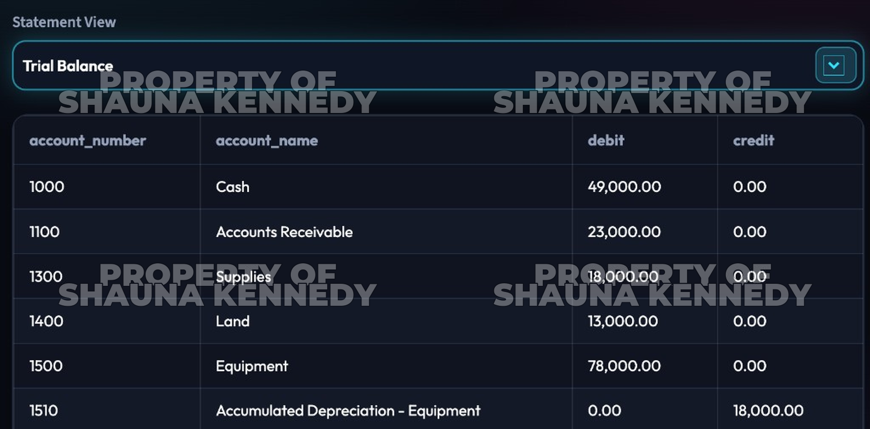 Trial balance statement view with account debits and credits