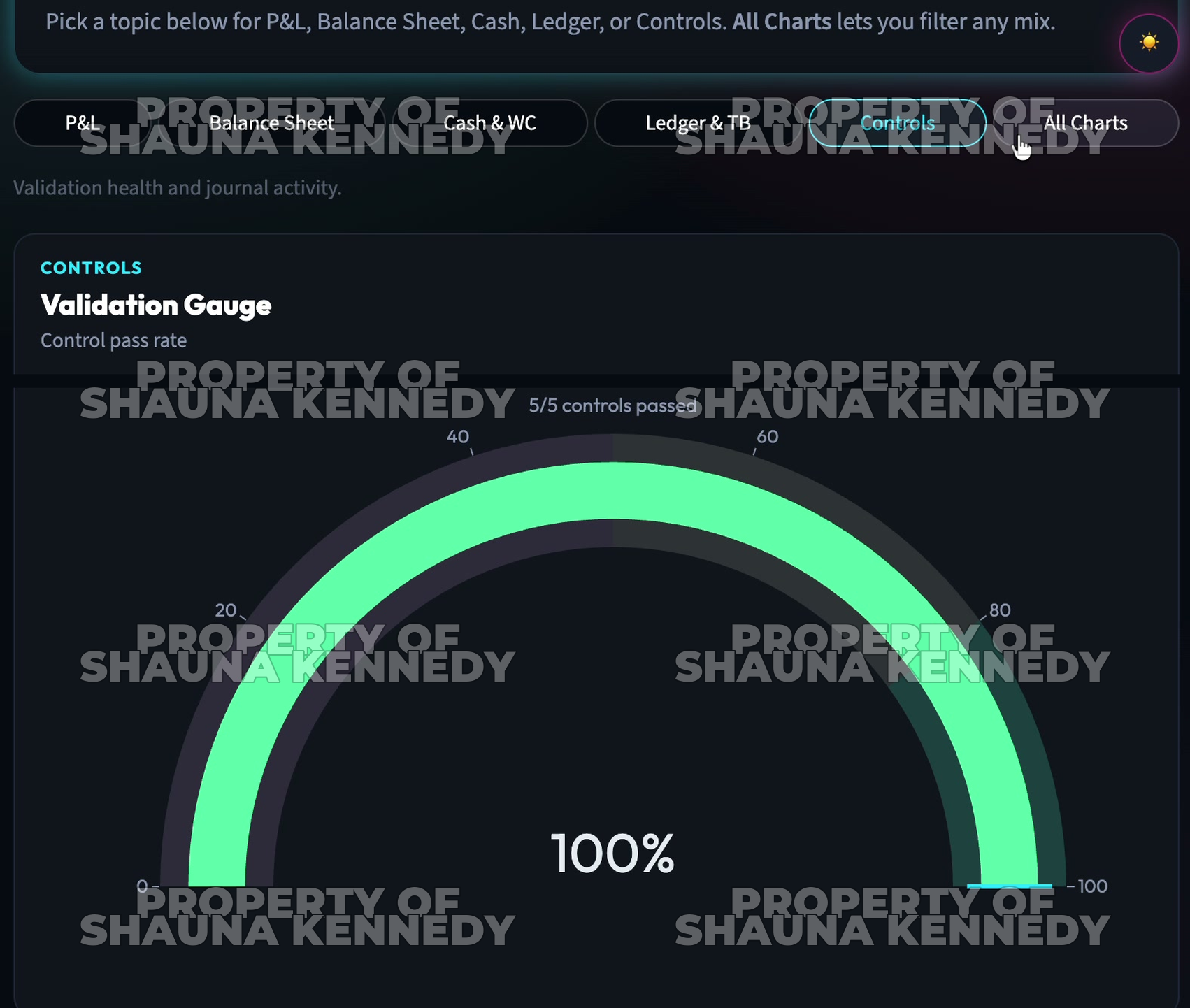 Controls validation gauge showing 100 percent control pass rate